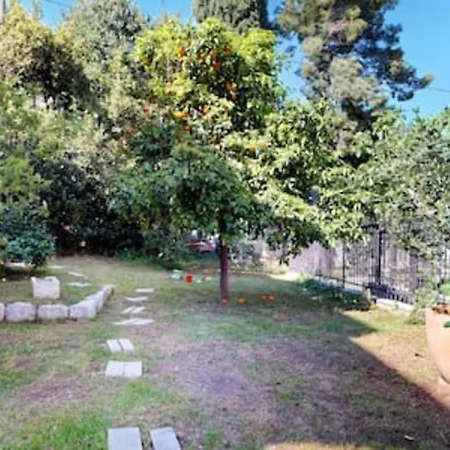 Apartmán Garden Downtown